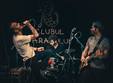 the amsterdams at reflektor