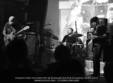 the egocentrics blight the shelter