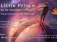 the little prince cum ne imprietenim cu mintea 