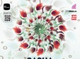 the mission sasha 2manydjs art department ali nasser