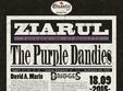 the purple dandies lanseaza videoclipul piesei ziarul