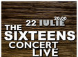 the sixteens in irish pub