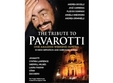  the tribute to pavarotti one amazing weekend in petra 
