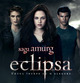  the twilight saga eclipse 2010 