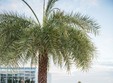 therme essentials la therme bucure ti