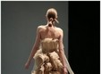 timisoara fashion 2010