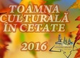 toamna culturala in cetate