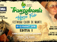 poze transylvania horse fest