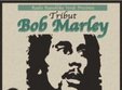 tribut bob marley la sibiu