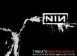 tribut nine inch nails la sibiu