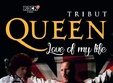 tribut queen love of my life 