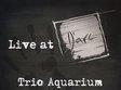  trio aquarium live in d arc