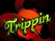 trippin cafe re opening