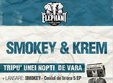 tripu unei nopti de vara elephant