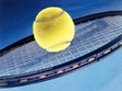trofeul ilie nastase arad 2011
