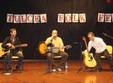 tulcea folkest 2011