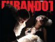 turandot