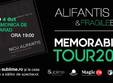 turneu na ional alifantis fragile band la arad