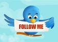 tweetmeet timisoara
