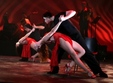 un nou curs de tango pentru incepatori in sibiu