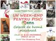 un week end pentru pisici colecta de hrana