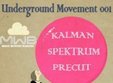 underground movement in timisoara