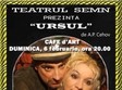 ursul cafe d art