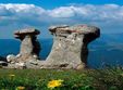 vacanta la munte pentru oameni singuri