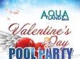 valentine s day big love pool party