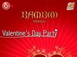 valentine s day party