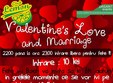 valentine s love and marriage party