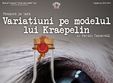 variatiuni pe modelul lui kraepelin