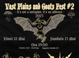 vast plains and goats fest 2 la craiova