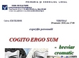 vernisaj expozitie personala noemi hancsiki