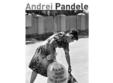 vernisajul expozitiei lui andrei pandele made in romania