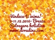 vindeca ti inima tabara de yoga si dezvoltare personala