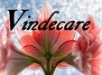 vindecarea in noile energii