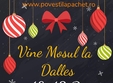 vine mosul la dalles