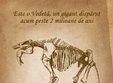 vino la antipa sa l vezi pe uria ul deinotherium 