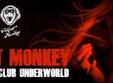 violent monkey in club underworld