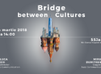 poze visually speaking bridge between cultures