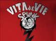 vita de vie spunk tour 2013 concert in zalau la diesel club