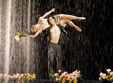 poze vortice dance company la intalnirile jti