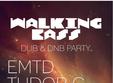 walking bass in iasi