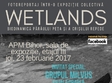 wetlands