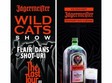 wild cats show