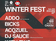 winter fest la targu mures
