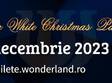 wonder sensation christmas party 2023