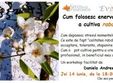 workshop cum folosesc enervarea pentru a cultiva rabdarea 