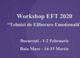 workshop tehnici de eliberare emotionala eft